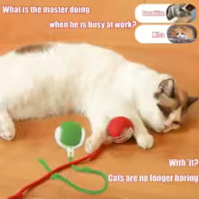 Self-Rolling Interactive Dog Toy - BUY 1 GET 1 FREE