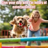 Self-Rolling Interactive Dog Toy - BUY 1 GET 1 FREE